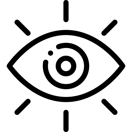 vison icon